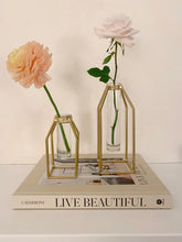 Load image into Gallery viewer, Propagation Vase - Gold
