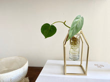 Load image into Gallery viewer, Propagation Vase - Gold
