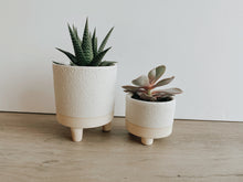 Load image into Gallery viewer, Mini Footed Planter with Succulent
