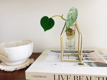 Load image into Gallery viewer, Propagation Vase - Gold
