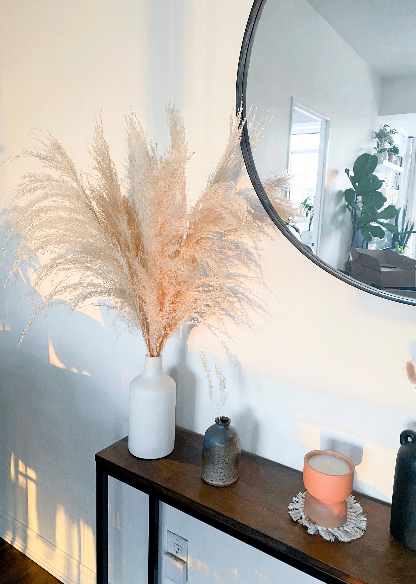 Amazon Pampas Grass (3 or 6 Stem Bundles)