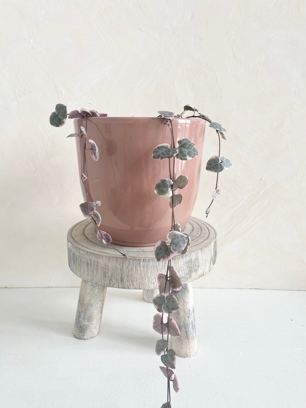 String of Hearts (Pink Variegated)