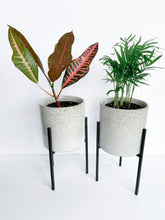 Load image into Gallery viewer, Veranda Planter with stand
