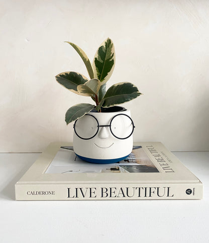 Cute Face with Glasses Plant Pot
