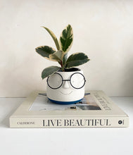 Load image into Gallery viewer, Cute Face with Glasses Planter | Concrete Pot
