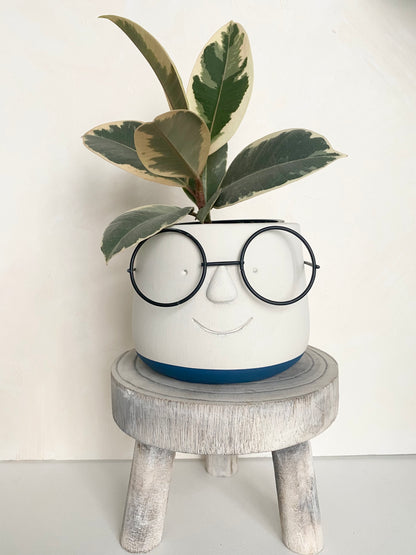 Cute Face with Glasses Plant Pot
