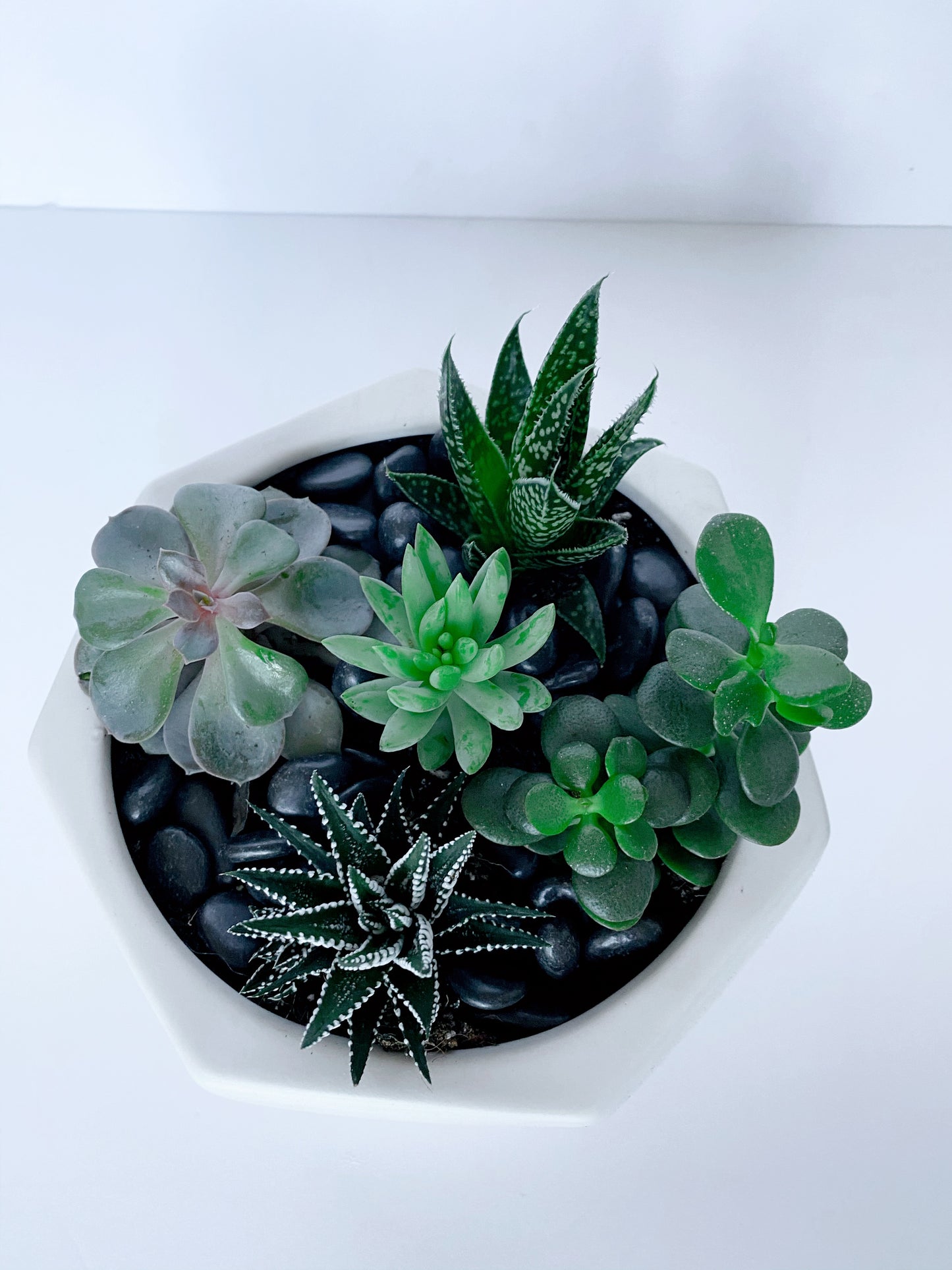 Succulent Geometric Planter