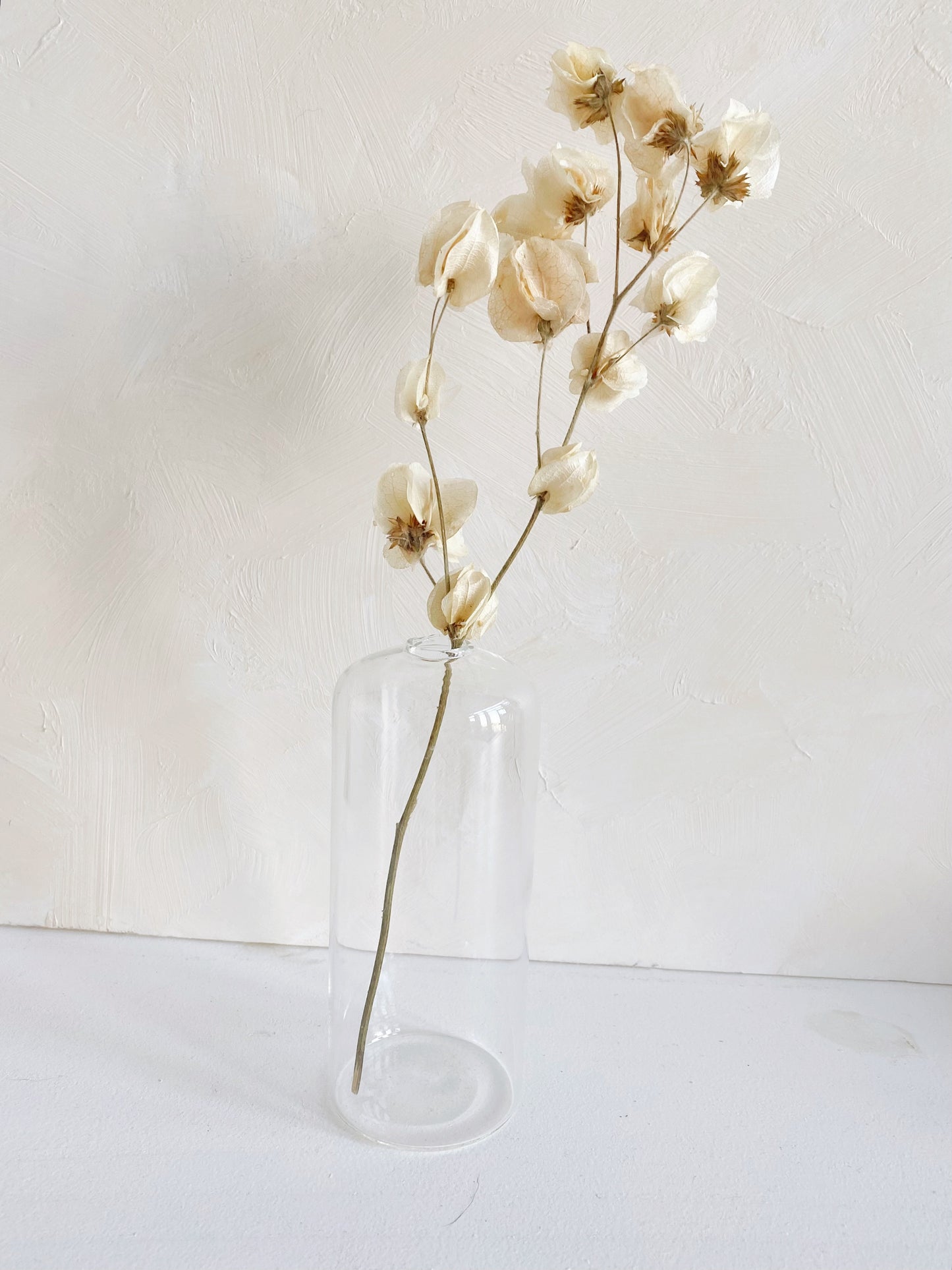 Highball Glass Bud Vases