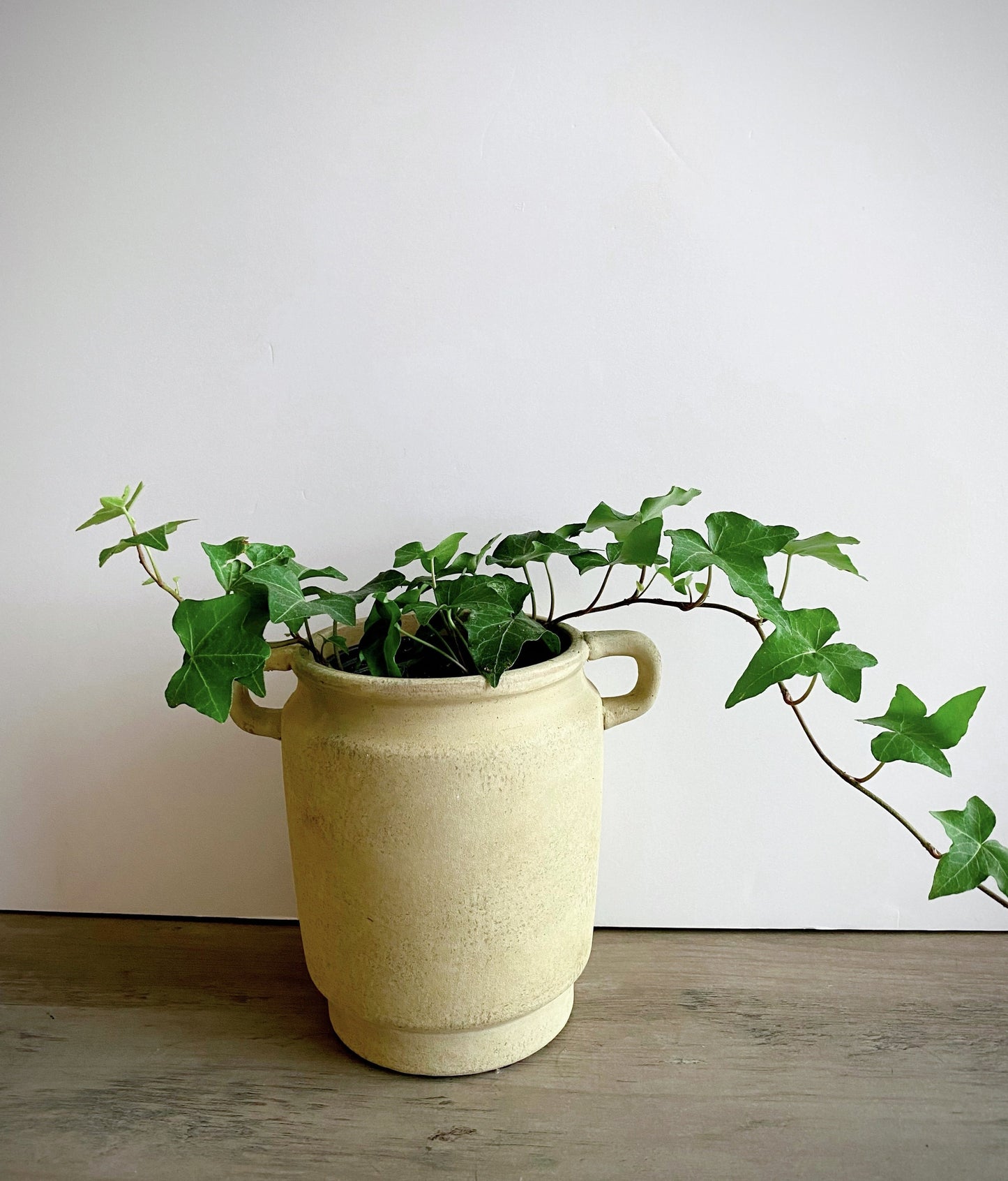 Revival Textured Clay Collection