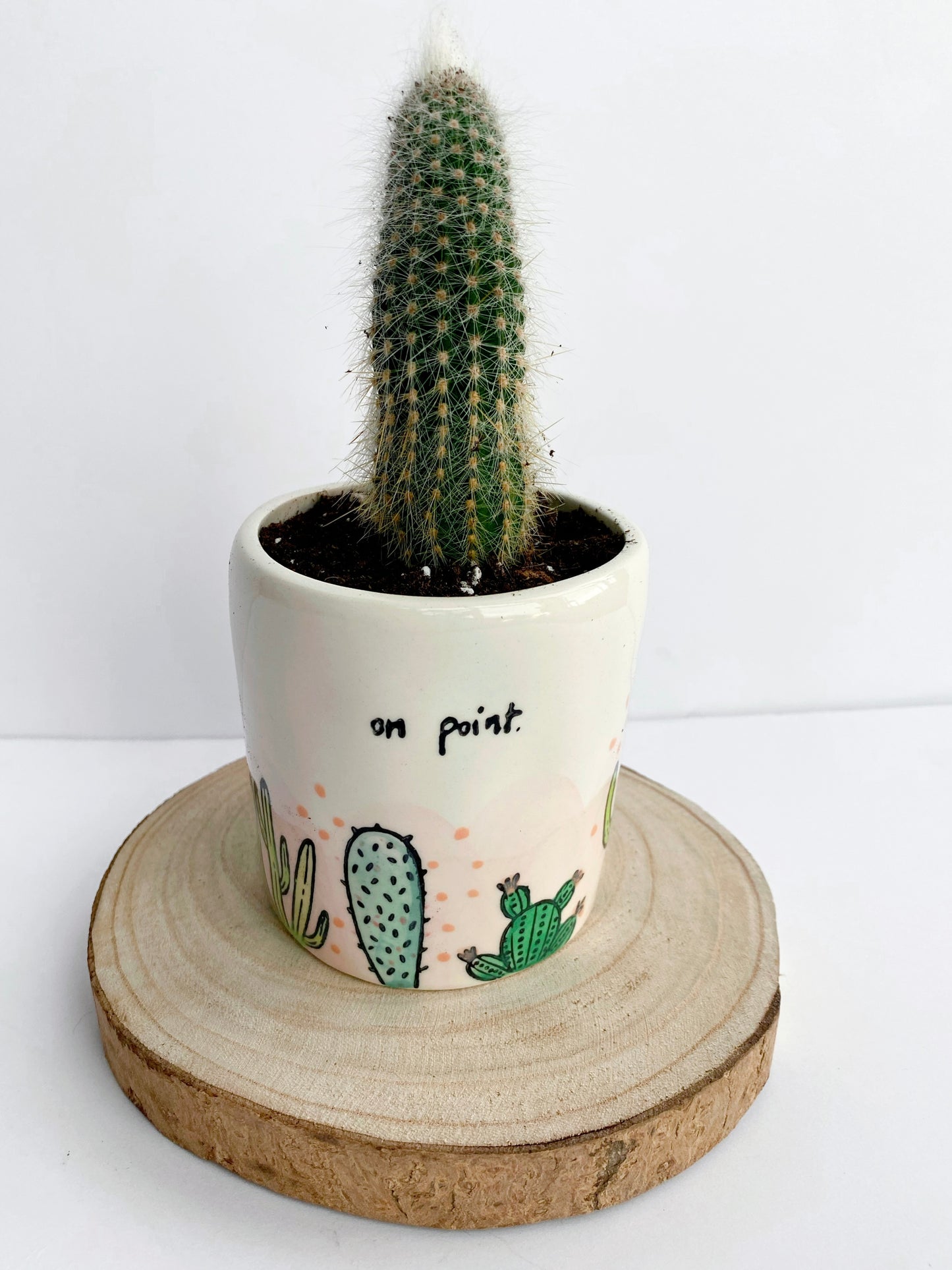 "on point" Cacti Planter