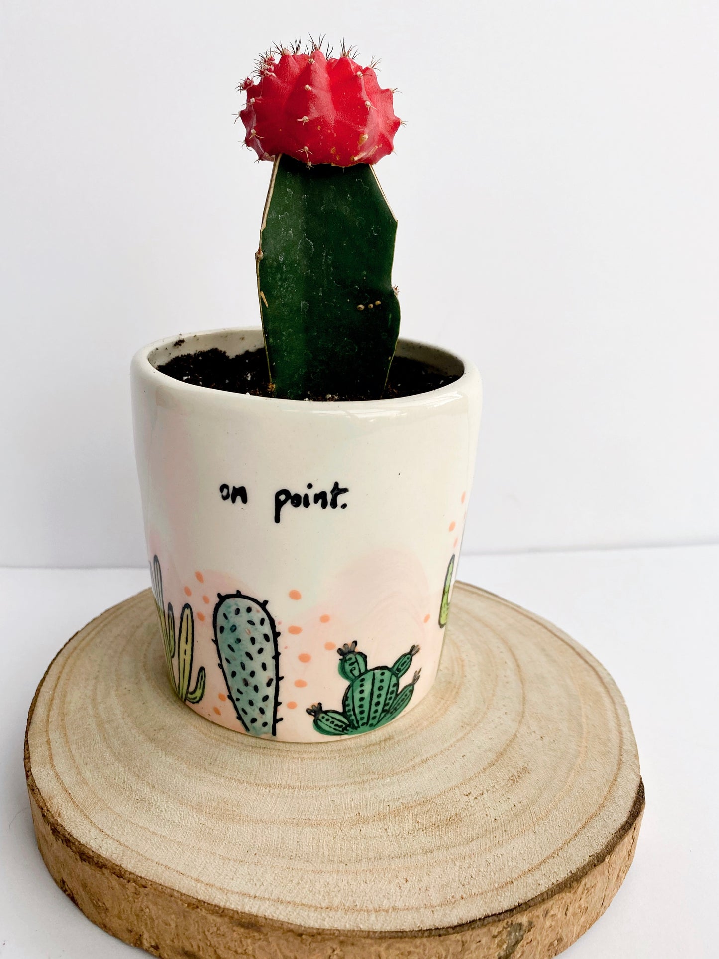 "on point" Cacti Planter