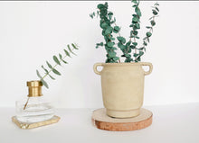 Load image into Gallery viewer, Revival Textured Clay Collection
