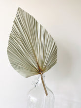 Load image into Gallery viewer, Dried Anahaw Leaves | Dried Palm Leaves
