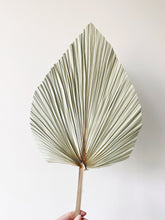 Load image into Gallery viewer, Dried Anahaw Leaves | Dried Palm Leaves
