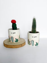 Load image into Gallery viewer, &quot;on point&quot; Planter with Cactus
