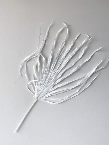 Large Dried Fan Palm Leaves