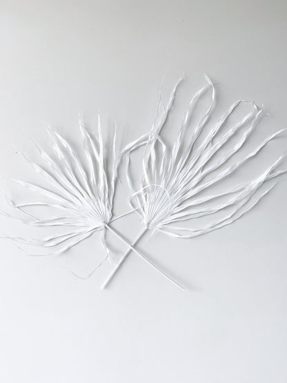 Large Dried Fan Palm Leaves