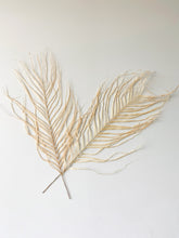 Load image into Gallery viewer, Large Dried Natural Palm Leaves | Areca Fern
