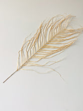 Load image into Gallery viewer, Large Dried Natural Palm Leaves | Areca Fern
