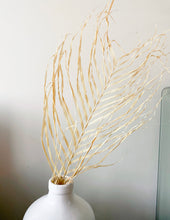Load image into Gallery viewer, Large Dried Natural Palm Leaves | Areca Fern
