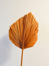 Load image into Gallery viewer, Dried Anahaw Leaves | Dried Palm Leaves
