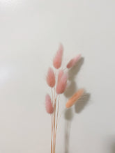 Load image into Gallery viewer, Dried Bunny Tails | Dried Lagurus
