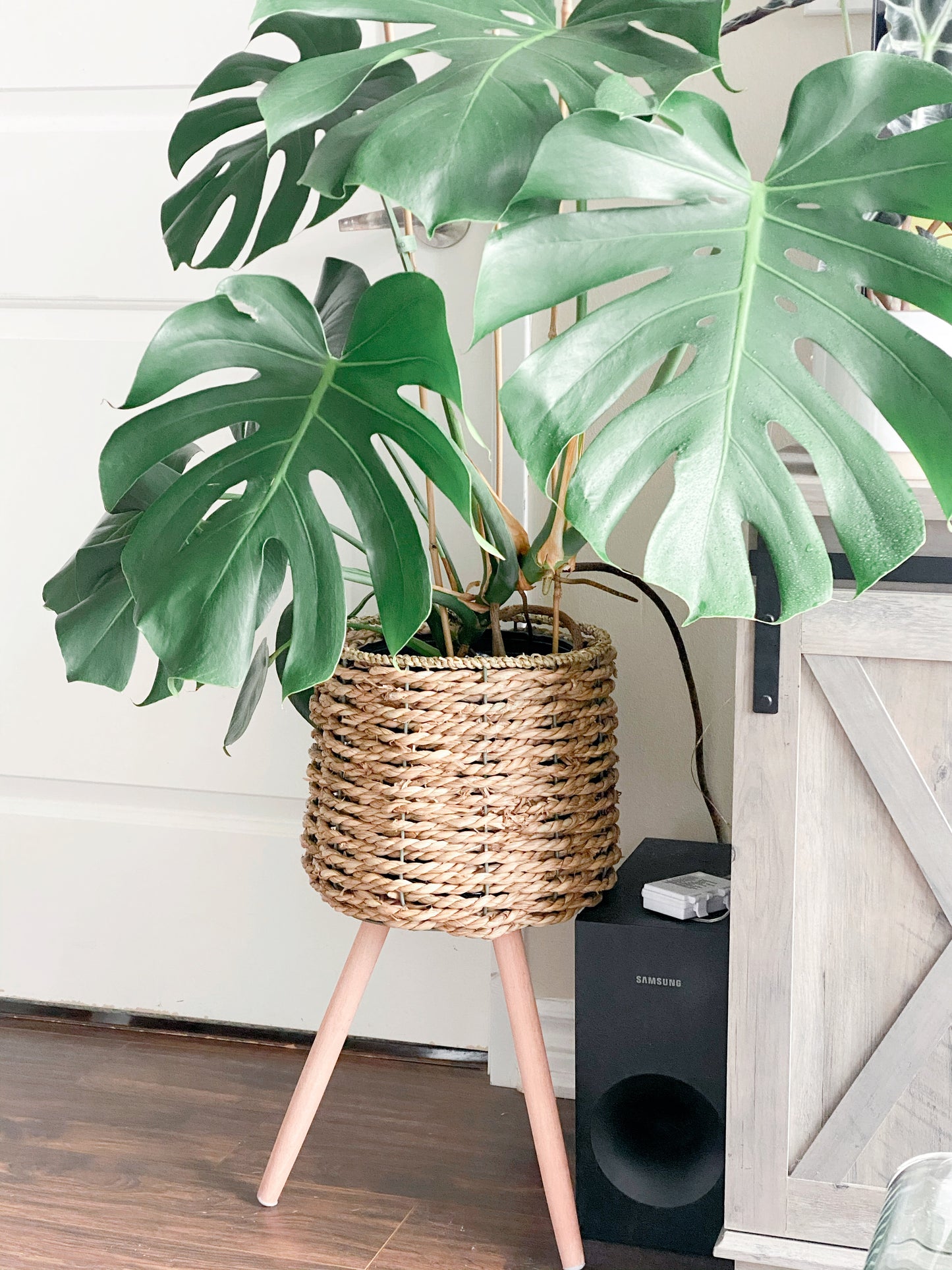 Seagrass Basket Planter Stand