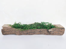 Load image into Gallery viewer, Wood Log Pot
