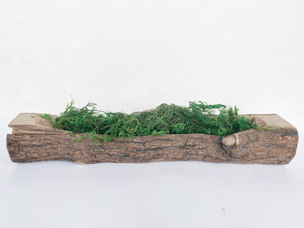 Wood Log Pot