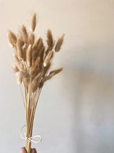 Load image into Gallery viewer, Dried Bunny Tails | Dried Lagurus
