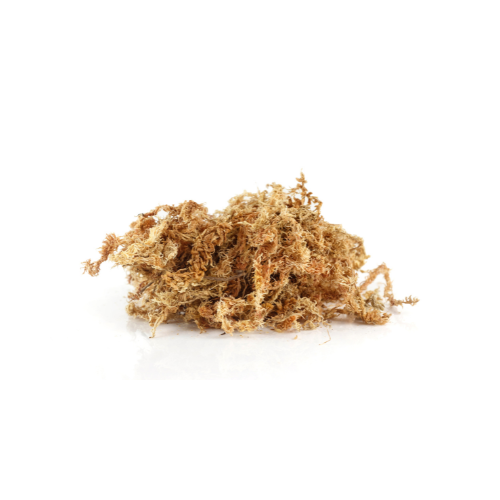 Sphagnum Moss | SuperMoss | Large Bag