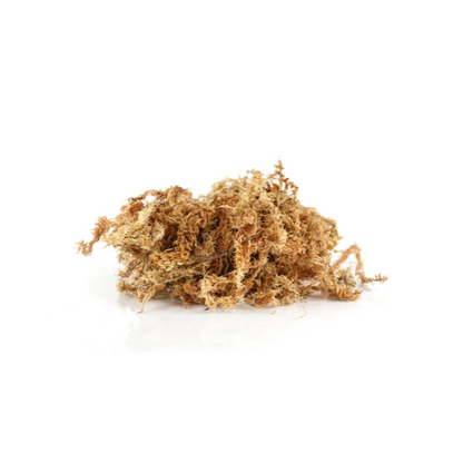 Sphagnum Moss | SuperMoss | Large Bag