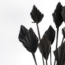 Load image into Gallery viewer, Small Dried Palm Spears
