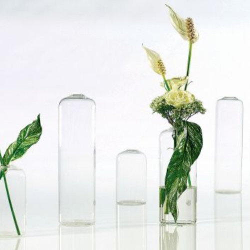 Highball Glass Bud Vases