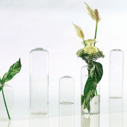 Highball Glass Bud Vases