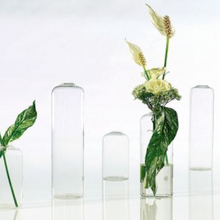 Load image into Gallery viewer, Clear Glass Bud Vase
