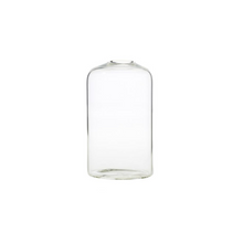 Load image into Gallery viewer, Clear Glass Bud Vase
