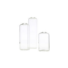 Load image into Gallery viewer, Clear Glass Bud Vase
