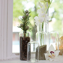 Load image into Gallery viewer, Clear Glass Bud Vase
