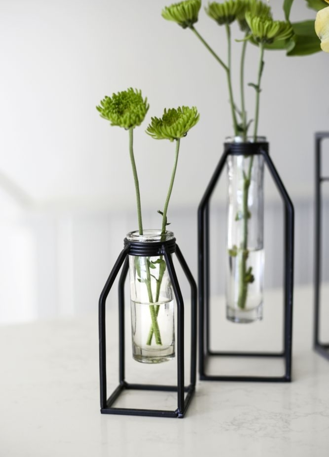Propagation Vase - Glass Tube Bud Vase