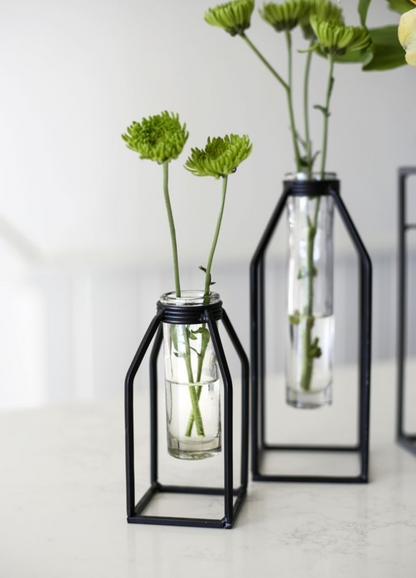 Propagation Vase - Glass Tube Bud Vase