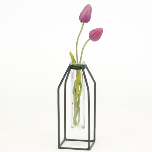 Propagation Vase - Glass Tube Bud Vase