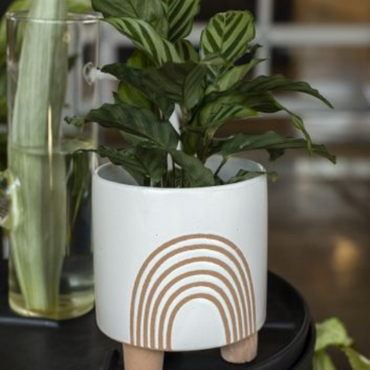 Rainbow Footed Planter