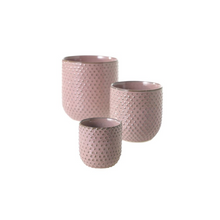 Load image into Gallery viewer, Everly Pot | Pink Textured Dots
