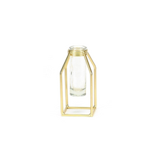 Load image into Gallery viewer, Propagation Vase - Gold

