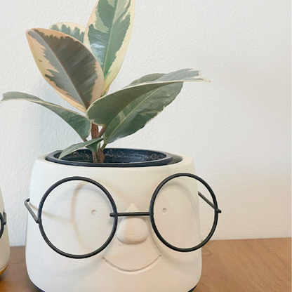 Cute Face with Glasses Plant Pot