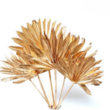 Load image into Gallery viewer, Dried Palm Sun Leaves
