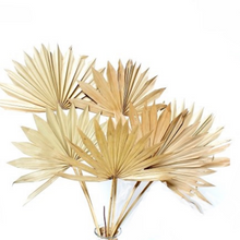 Load image into Gallery viewer, Dried Palm Sun Leaves
