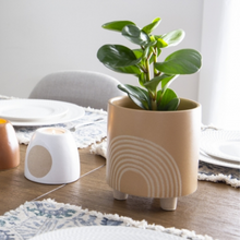 Load image into Gallery viewer, Rainbow Embossed Plant Pot
