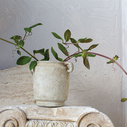 Revival Textured Clay Collection